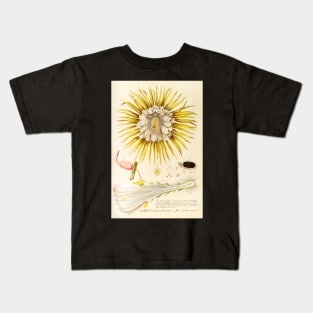 Night blooming Cereus flower dissectation - botanical illustration Kids T-Shirt